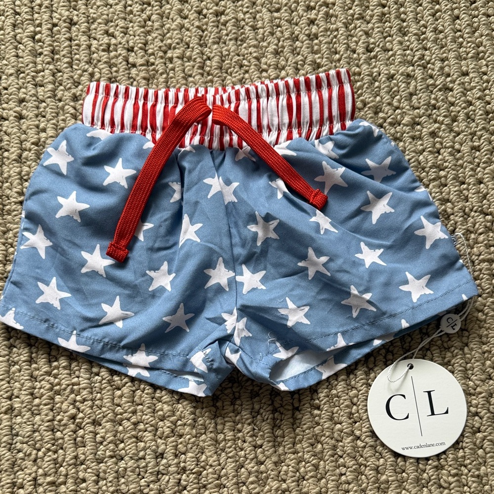 Caden Lane Blue Star Print Shorts